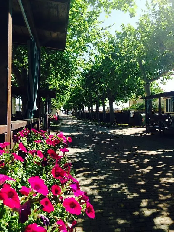 Camping Vallecrosia